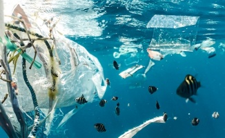 Comprehensive assessment on marine litter and plastic pollution confirms need for urgent global action